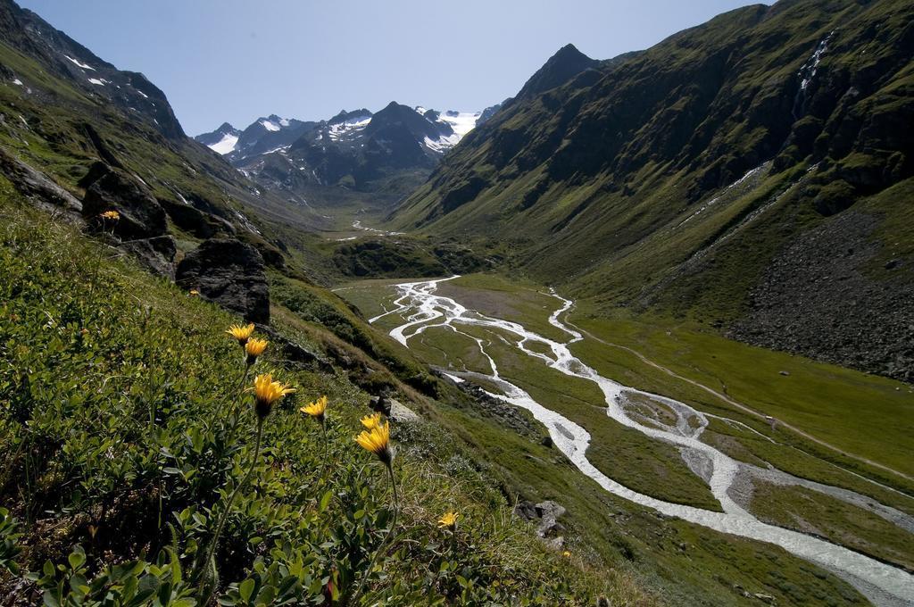 Gaestehaus Danler Neustift im Stubaital Kültér fotó